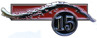 PAC 15-year pin